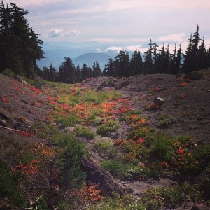 Hike near Timberline Lodge by allisonpelot via Instagram