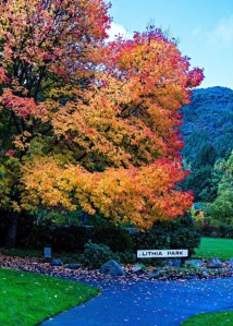 Lithia Park in Ashland by Graham Lewis
